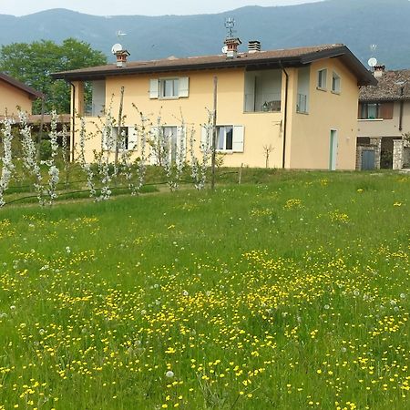 CASCINA LEGNAGO near Garda lake - trilocale Villanuova sul clisi Esterno foto