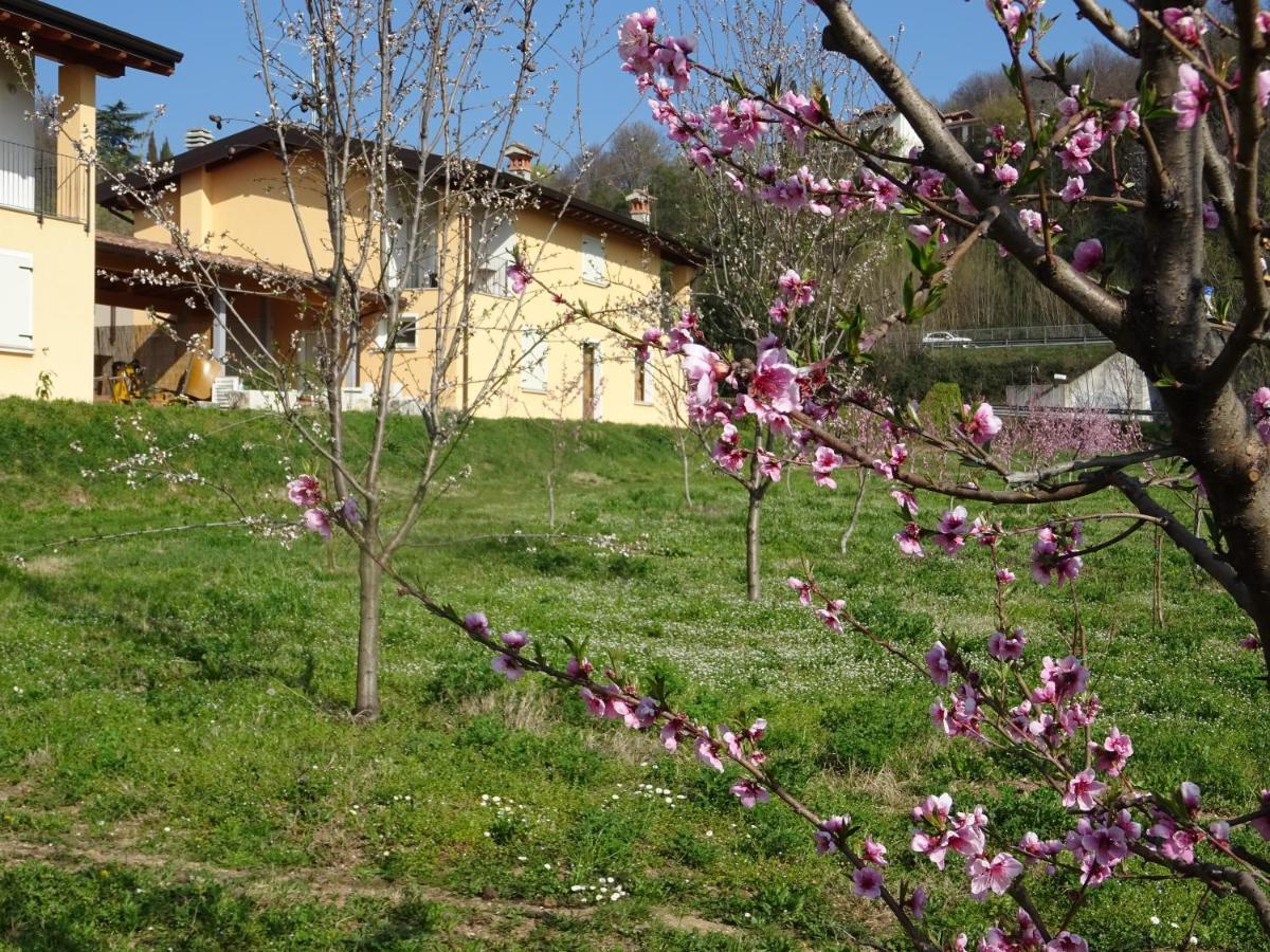 CASCINA LEGNAGO near Garda lake - trilocale Villanuova sul clisi Esterno foto
