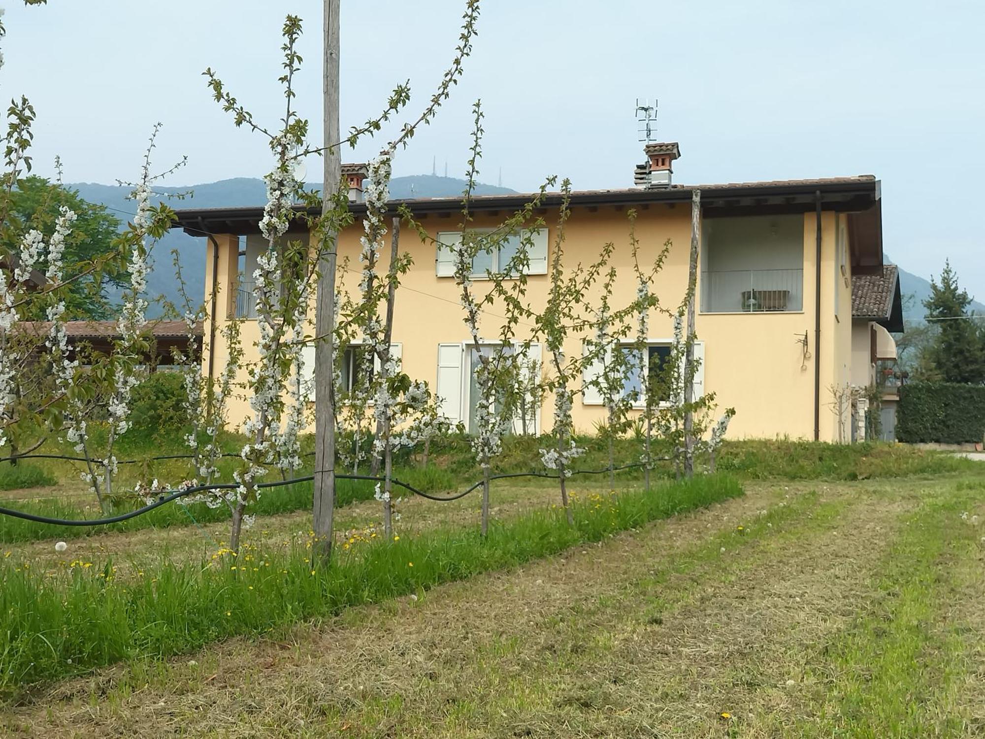 CASCINA LEGNAGO near Garda lake - trilocale Villanuova sul clisi Esterno foto