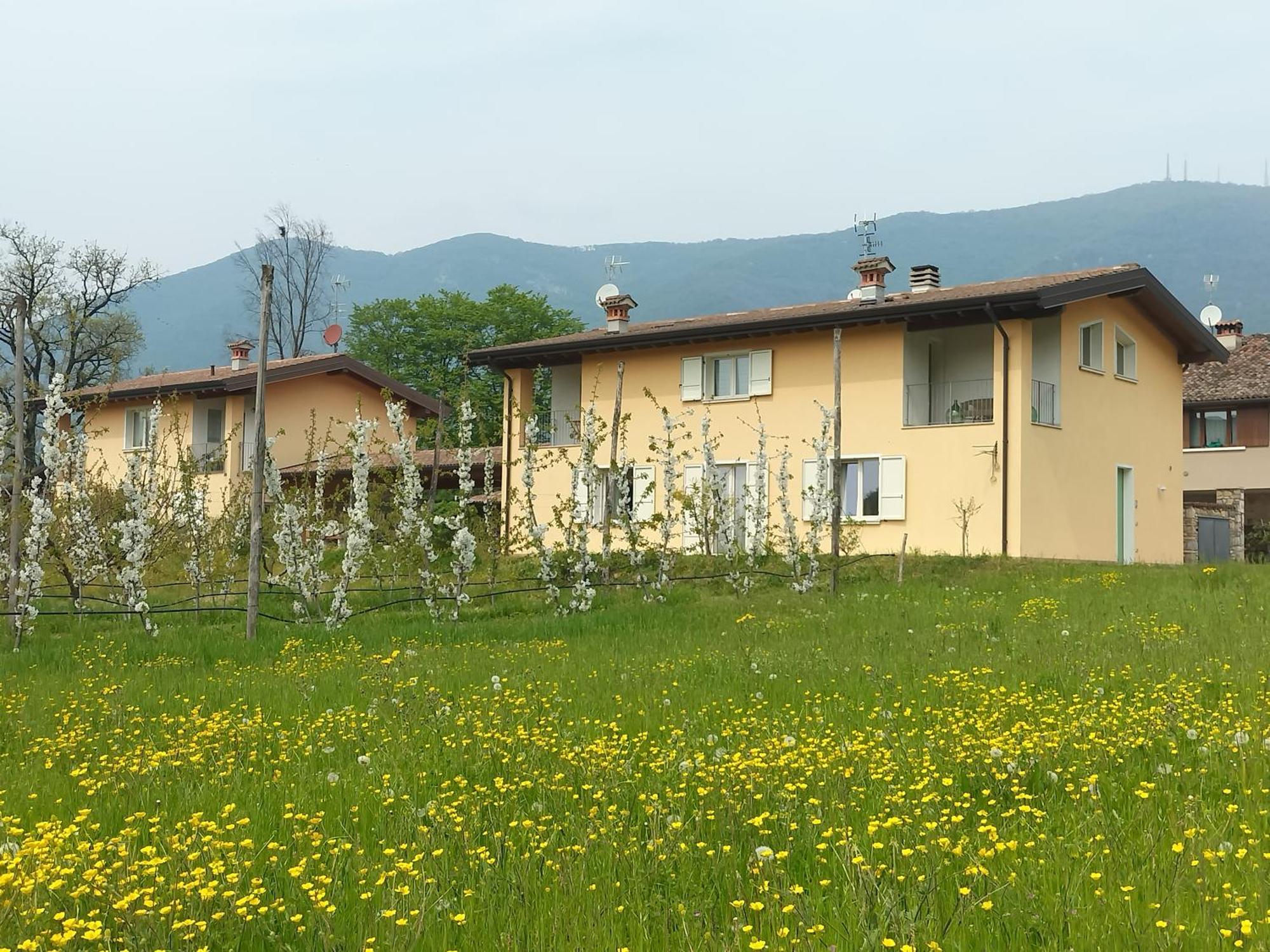 CASCINA LEGNAGO near Garda lake - trilocale Villanuova sul clisi Esterno foto