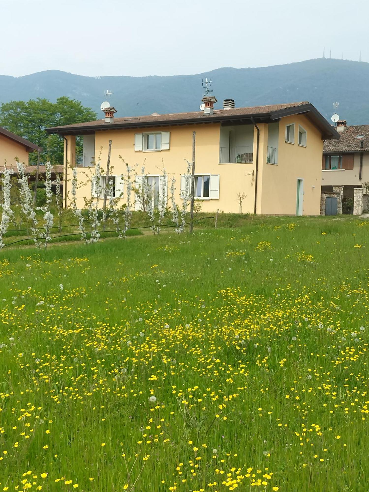 CASCINA LEGNAGO near Garda lake - trilocale Villanuova sul clisi Esterno foto