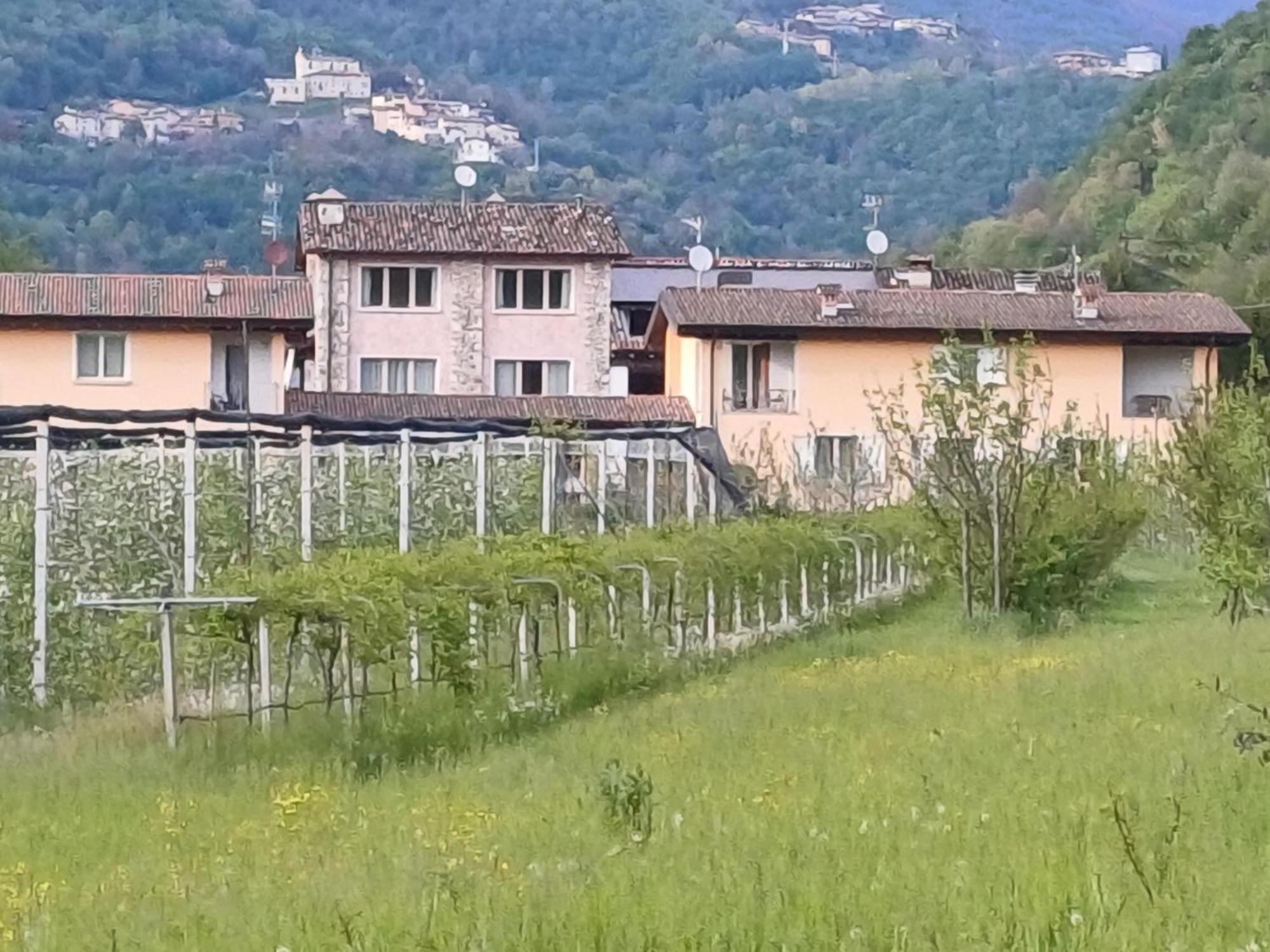 CASCINA LEGNAGO near Garda lake - trilocale Villanuova sul clisi Esterno foto