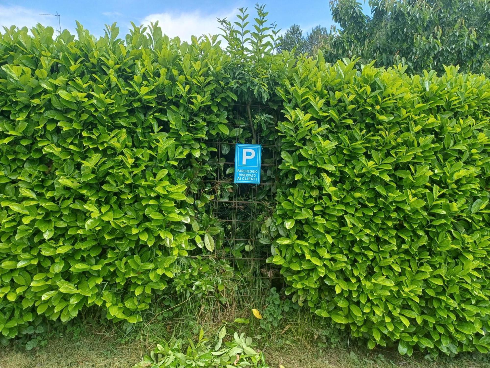 CASCINA LEGNAGO near Garda lake - trilocale Villanuova sul clisi Esterno foto